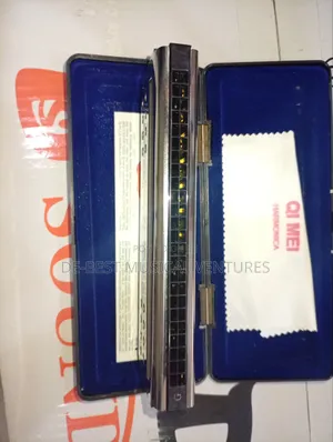 Harmonica Mouth Organ Professional