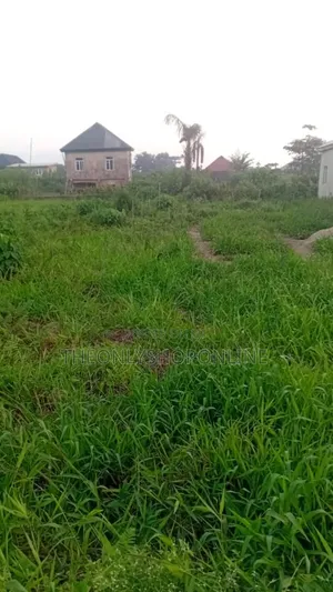 Half Plot of Land for Sale in Okerube, Ikotun
