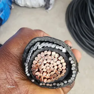 500mm*1core Nigeria Swa High Quality Electric Armoured Cable