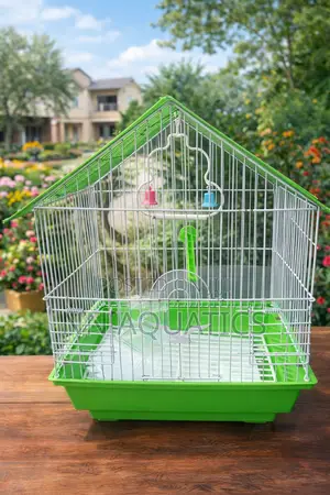 Bird Cages