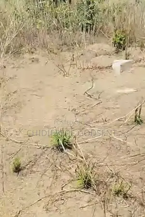 Land For Sale In Imo State