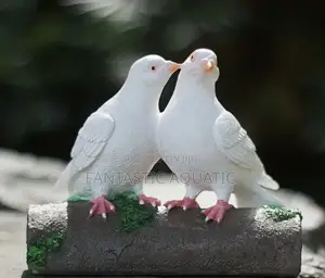 White Dolf Birds