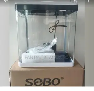 Empty Aquarium Tank