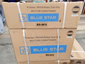 Bluestar 1hp Basic Split Air Conditioner | Bs-9fs (Hw09cryfb1-9fs)