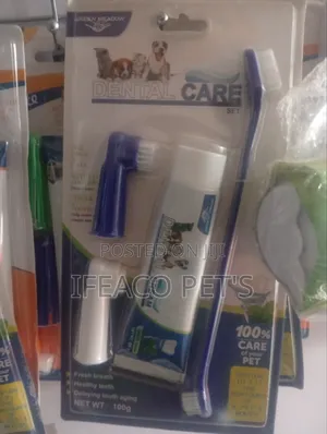 Dental Care Brush 