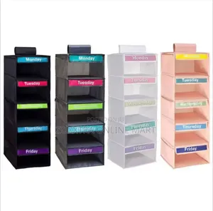 5-Shelf Weekly Hanging Storage Bag