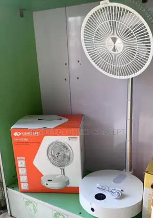 Kamisafe Stretching Fan