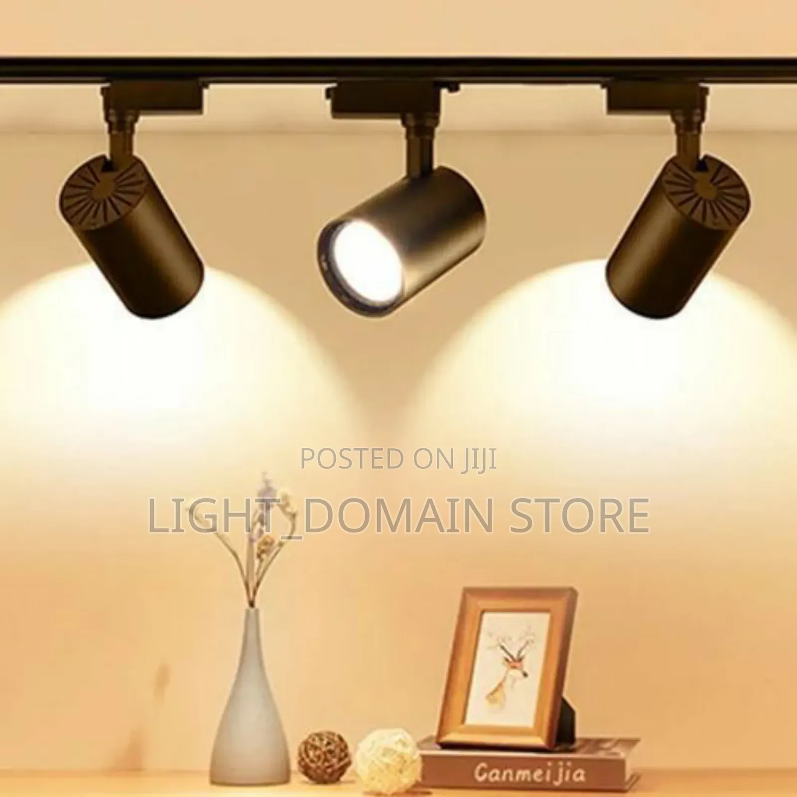 Track Light