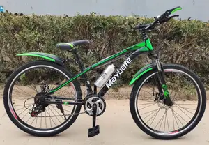 Adult Bicycle (26-Inch Wheels)