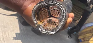 185mmx3core Amoured Cable