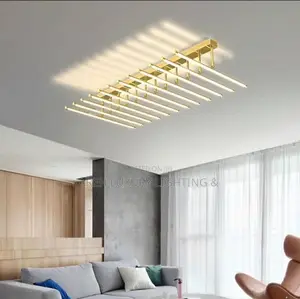Living Room Hallway Ceiling Lights Black White Combination