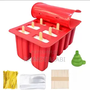 10 Cavity Popsicle Mold With Accessories
