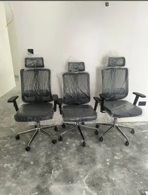 Adjustable Office Chair (Butterfly)