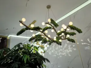 Chandelier Light