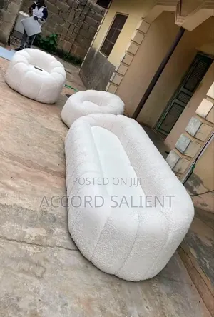 Set of Designer Sofa