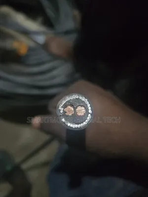 6mm 2core Armored Cable