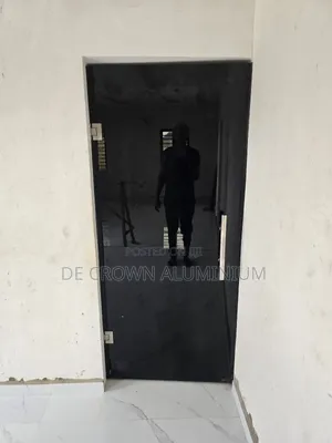 Modern 10mm Tempered Grey Glass Door – Stylish Durable