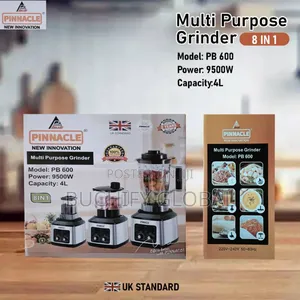 Pinnacle Blender 4 in 1