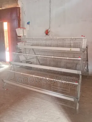 120 Birds Battery Cage