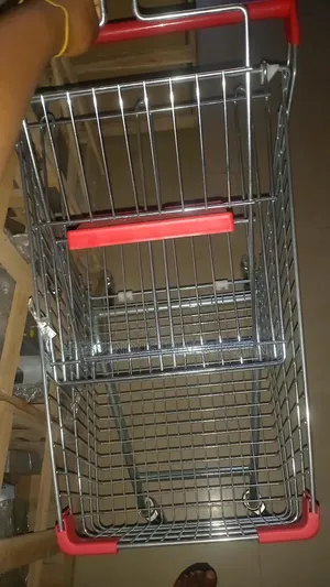 Shopping Trolleys Sliver