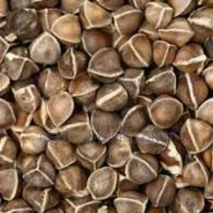 Moringa Seed 100g