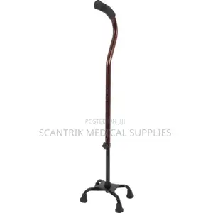 4-Foot Walking Stick for Stable Daily Movement