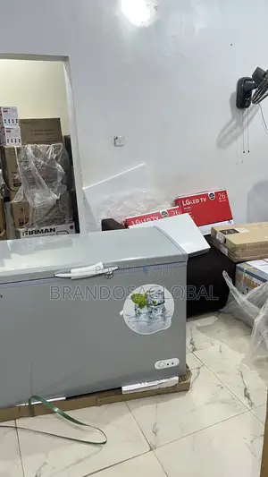 Bona 308l Inverter Chest Freezer Bd-004 – Efficient Cooling Machine