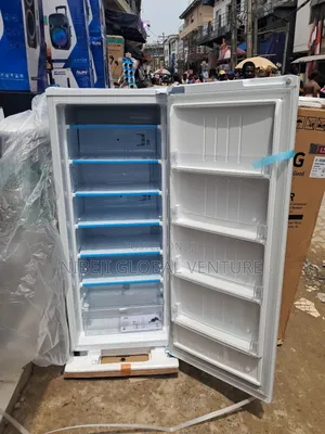 Lg Upright Freezer 304