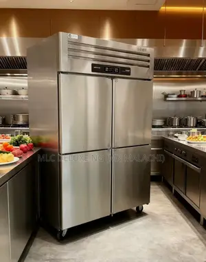 Upright Freezer / 4 Doors Industrial Full Freezer (-20•c) Stainless S