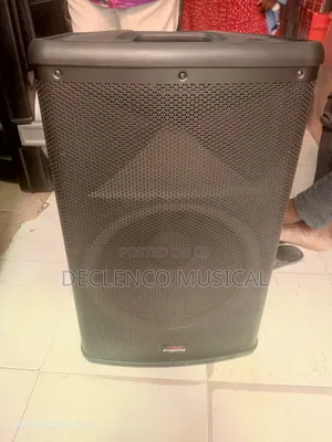 Sunymax 15"Inches Professional Party Speaker With Wireless Microphone
