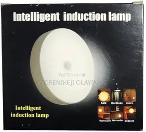 Induction Lamp