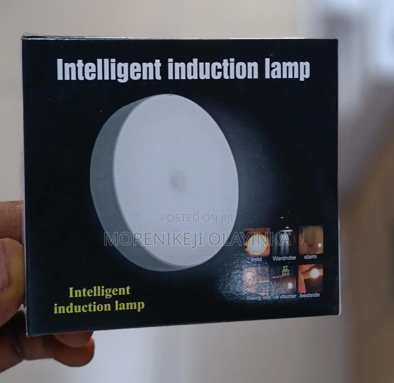 Induction Lamp