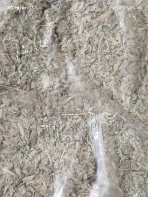 Sage Leaves
