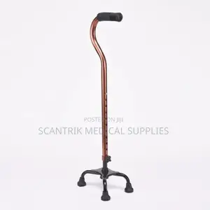 Lightweight Standard 4-Foot Walking Stick