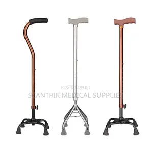 Premium Lightweight 4-Foot Walking Stick