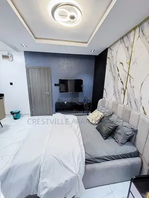 Classy Studio Apartment in Surulere (Lawanson)