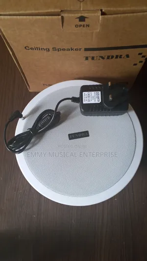 Single Bluetooth Ceiling Speaker for Pop