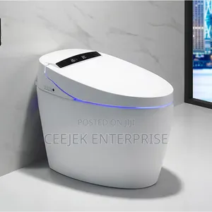 White Sensor Water Closet