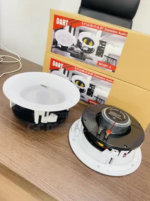 2in1 Wifi and Bluetooth Ceiling Speakers