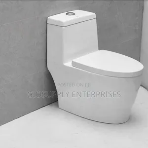 Modern White One-Piece Elongated Siphonic Toilet