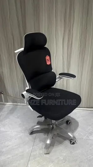 Ergonomic Office Chair