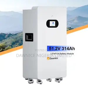 Dawnice 16kwh 51.2v 314ah Battery: Run Your Fridge Fans
