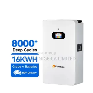 Dawnice 16kwh 51.2v 314ah LFP Battery - Fast Charge Tech