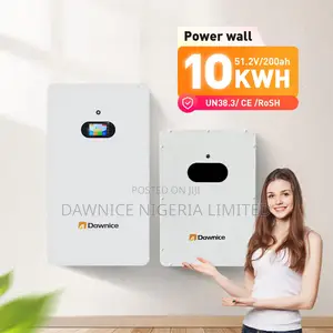 Dawnice 10kwh 51.2v 205ah Wall-mount Battery With Smart Bms