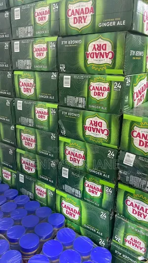 Canada Dry Ginger Ale By 24