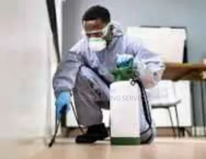 Peterside Cleaning And Fumigation Services