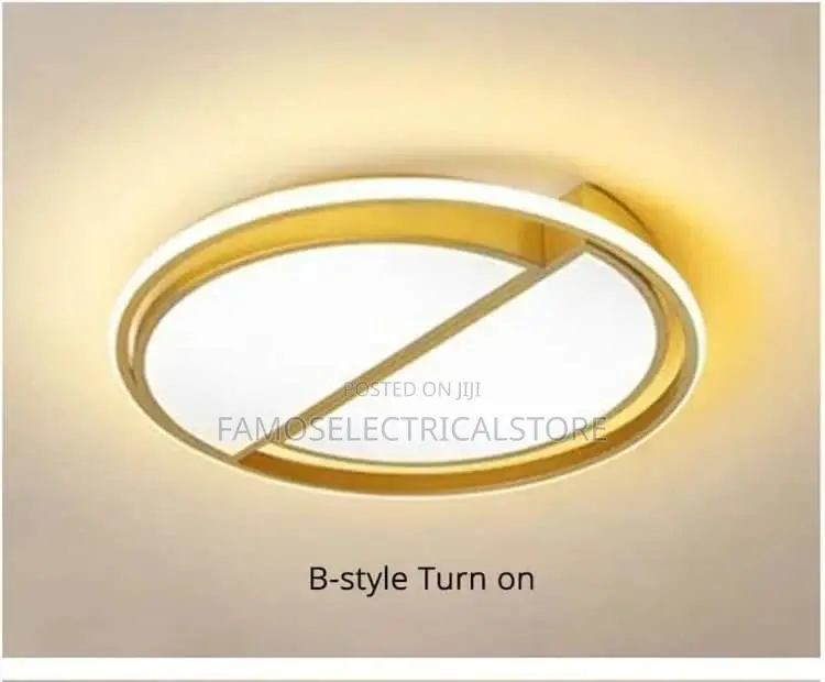 Led Ceiling Light