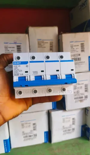 Chint NXB-125 Miniature Circuit Breaker (Mcb).