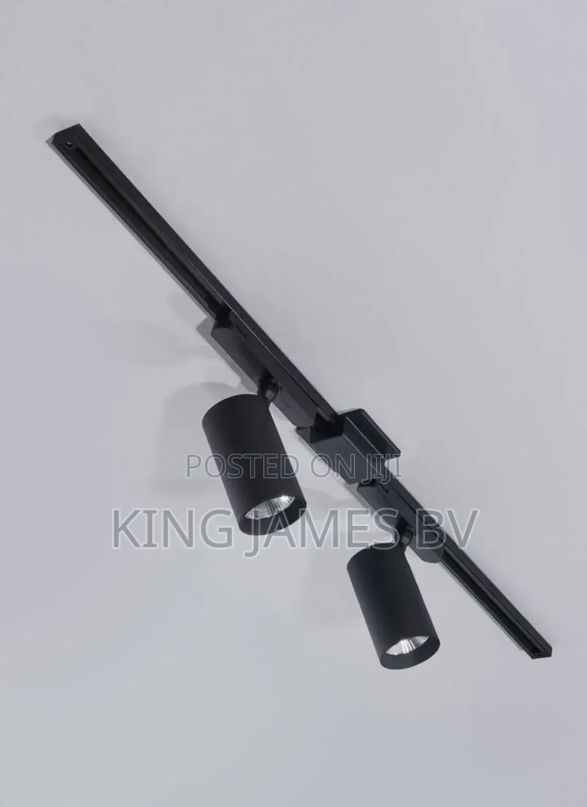 2 in 1 Track Light