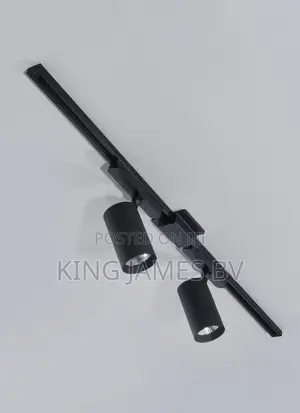 2 in 1 Track Light